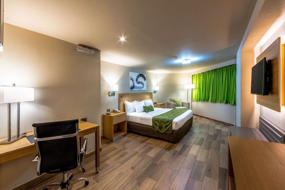 ควอลิตี้ อินน์ ปาชูกา Pachuca ภายนอก รูปภาพ A typical hotel room